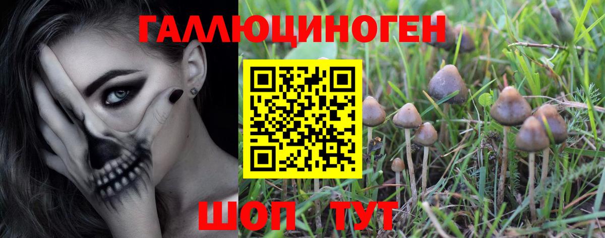 Псилоцибиновые грибы Cubensis  Вход с VPN  дарнет шоп  Барнаул 